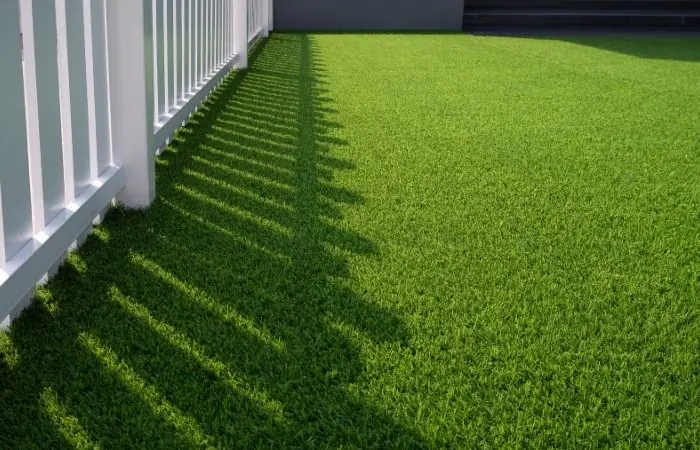 Natural Grass