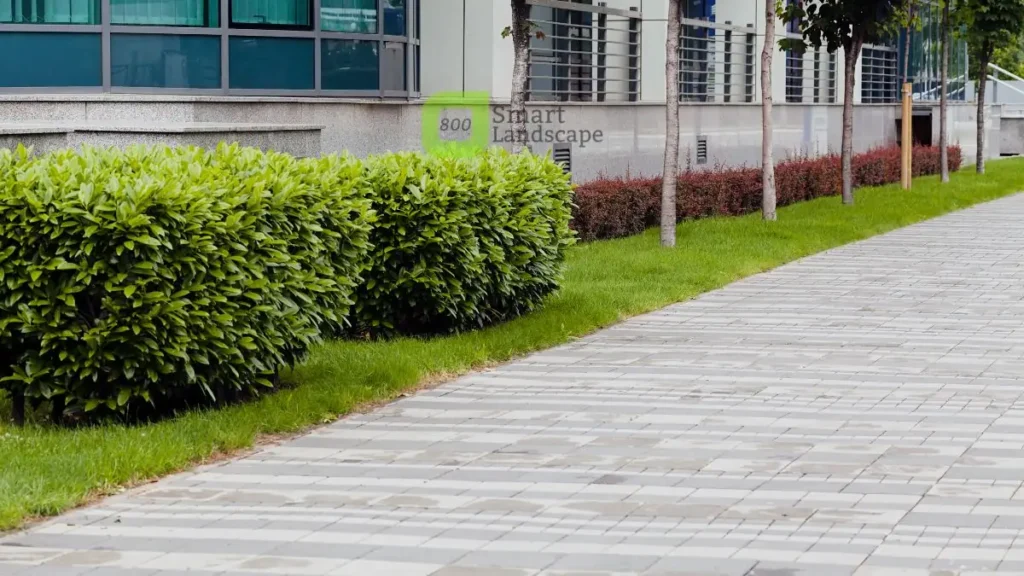 Commercial Landscaping
