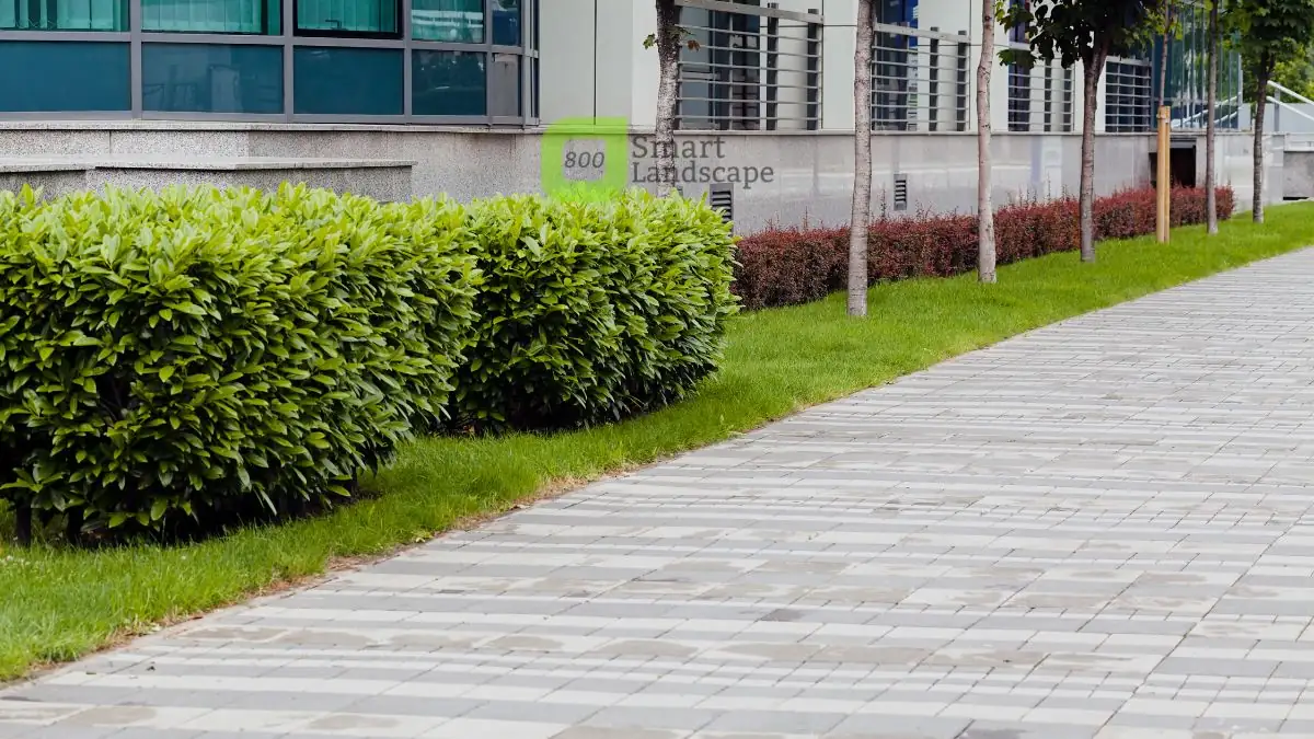 Commercial Landscaping