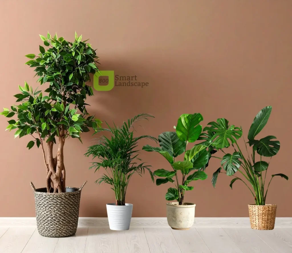 Indoor Plants Installation in Dubai | Best Indoor Garden Solutions