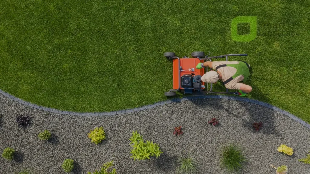 Professional Garden Maintenance Services Dubai | Complete Care